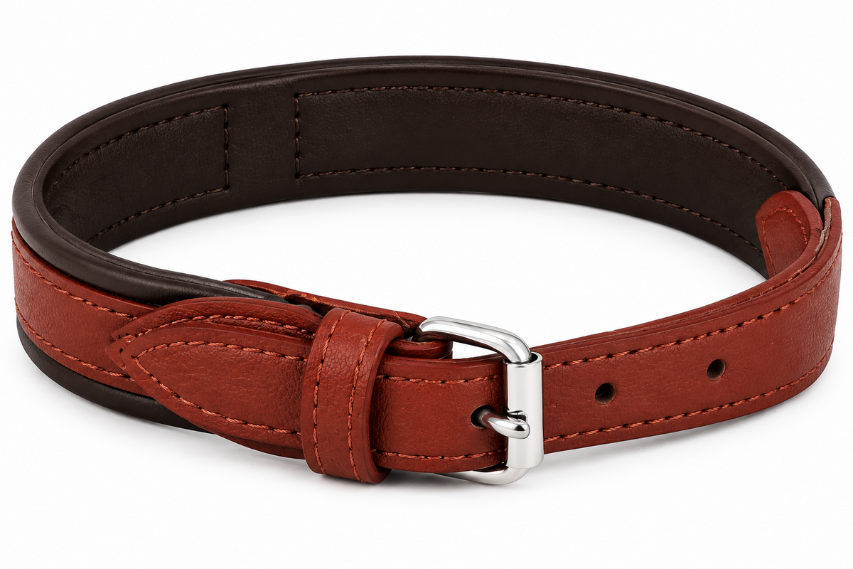 Leather DUAL Collar Small Breed & Cats Brick & Black