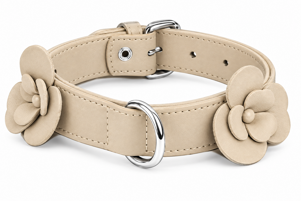 Leather BLOOM Collar Small Breed Dogs & Cats Beige