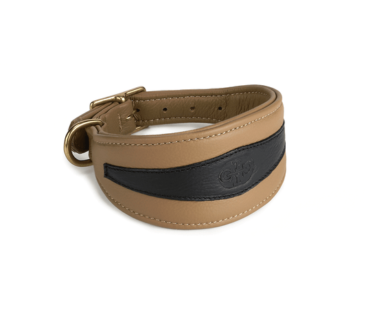 Qoya Saluki collar