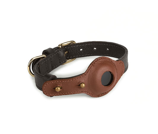Qoya Leather Collar